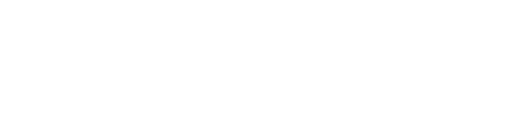Ri-dillo